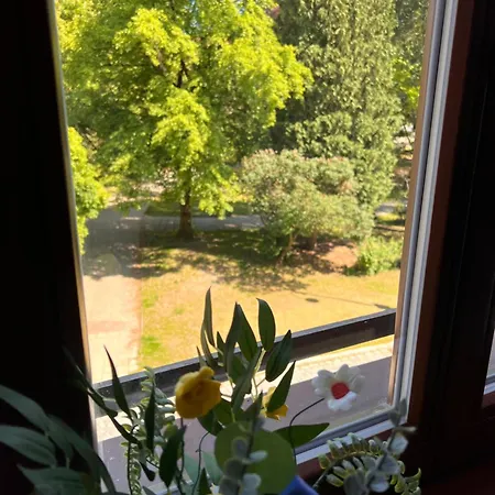 Apartment U Parku *